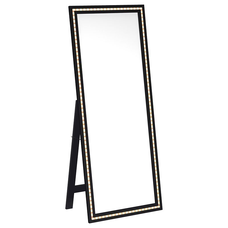 Windrose Standing Mirror W/ LED Lighting (Black) Coaster Furniture