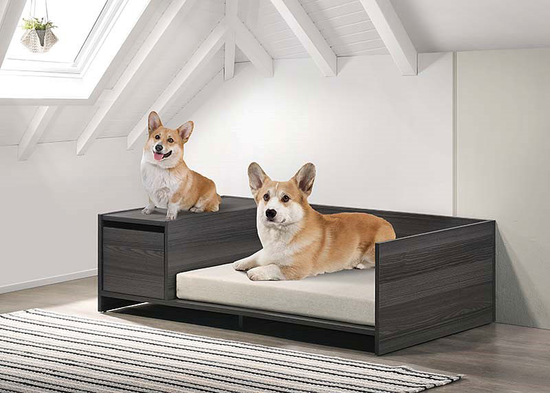 Furniture for pets at an affordable price near me