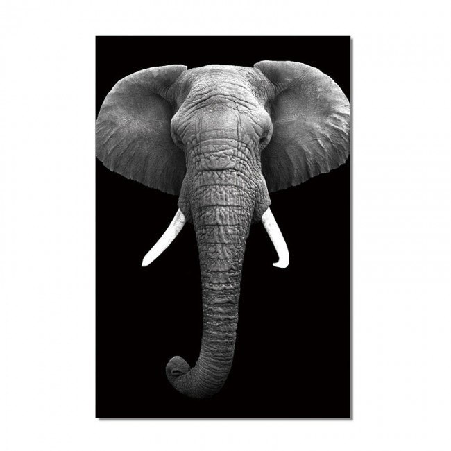 Wall Art Elephant