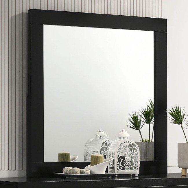 Caraway Mirror (Black)