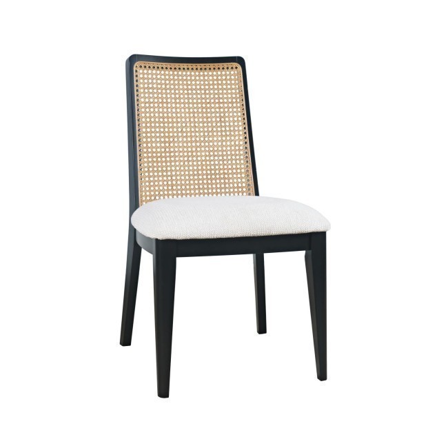 Dane Black Side Chair (Set of 2)