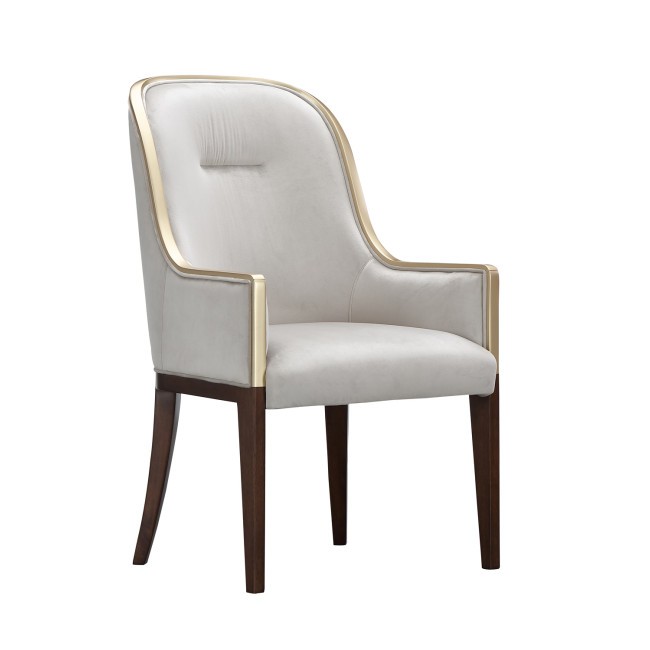 Houston Arm Chair (Set of 2)