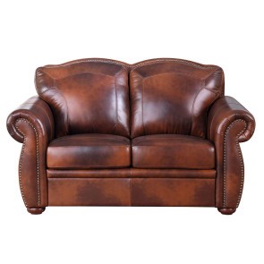 Arizona Leather Loveseat
