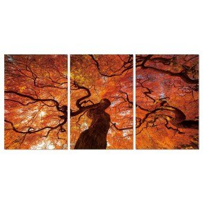 Premium Acrylic Wall Art (Oak)