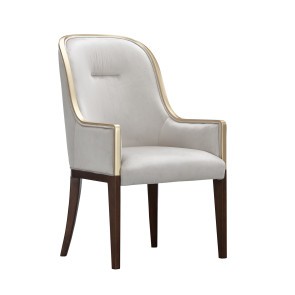 Houston Arm Chair (Set of 2)