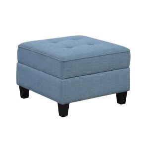 Garren Ottoman w/ Storage