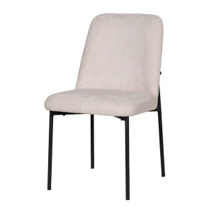 Erik Beige Side Chair (Set of 2)