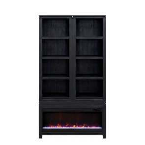 The Cove Seal Skin Black Fireplace Cabinet Bookcase Pier