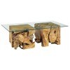 Hidden Treasures Root Square Coffee Table