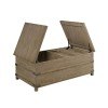 Crawford Storage Trunk Coffee Table