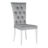 Kerwin Grey Side Chair (Set of 2)
