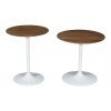 Remy 2-Piece Nesting Table Set (White)