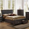 Lyric Storage Bed (Brownish Grey)