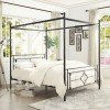Hosta Queen Canopy Metal Bed