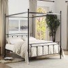 Chelone Queen Canopy Metal Bed