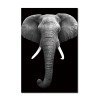 Wall Art Elephant