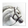 Wall Art White Horse