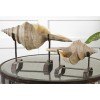 Conch Shells Sculptures (Set of 2)