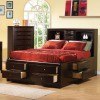 Phoenix Bookcase Bed