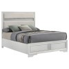 Miranda Upholstered Panel Bed (White)