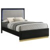 Caraway Panel Bed (Black)