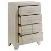 Trenton Chest