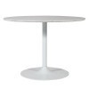Rowan 54 Inch Dining Table (White)