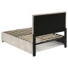 Reeves Beige Youth Upholstered Storage Bed