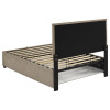 Reeves Tan Youth Upholstered Storage Bed
