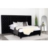 Hailey Upholstered Platform Bed w/ Wall Panels