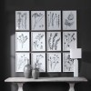 Contemporary Botanicals Framed Prints (Set of 12)