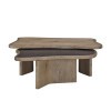 Playa Nesting Occasional Table Set