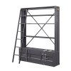 Cargo Youth Bookshelf w/ Ladder (Gunmetal)