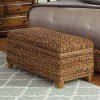 Laughton Trunk (Natural Brown)