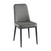 Salerno Gray Side Chair (Set of 2)