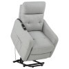 Dayes Light Grey Power Lift Recliner