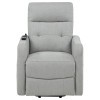 Dayes Light Grey Power Lift Recliner