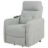 Dayes Light Grey Power Lift Recliner