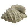 Conch Shell Planter (Sandstone)