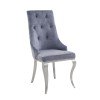 Dekel Side Chair (Gray) (Set of 2)