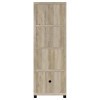 Sachin Distressed Pine Media Tower