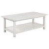 Payne Coffee Table (Distressed White)
