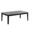 Grey and Black Coffee Table