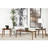 Natural Walnut 3-Piece Occasional Table Set