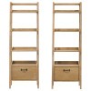 Fabian 2-Piece Bookshelf Set