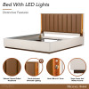 Pavira Walnut Platform Bed w/ LED Lighting