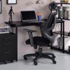 Zaidin Large Writing Desk (Black)
