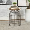 Accent Table w/ Bird Cage Base