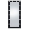Zayan Floor Mirror w/ LED Lights (Black)