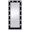 Zayan Floor Mirror w/ LED Lights (Black)